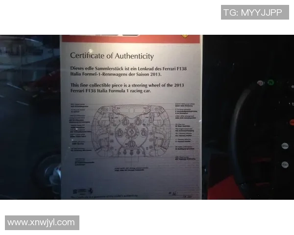 F1赛车手心理调节与比赛表现研究