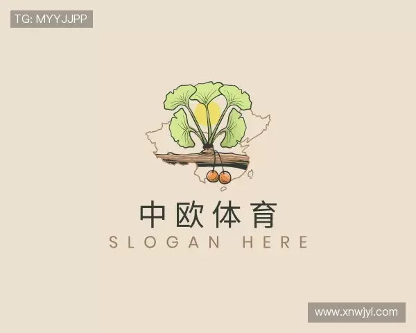 关于zoty中欧